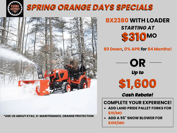 Spring Orange Days Special – BX2380